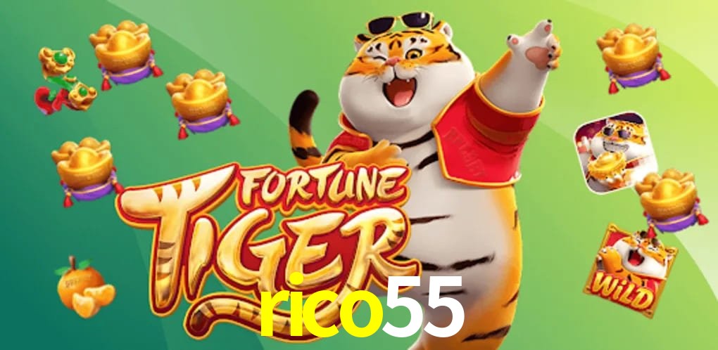 Experiência VIP rico55